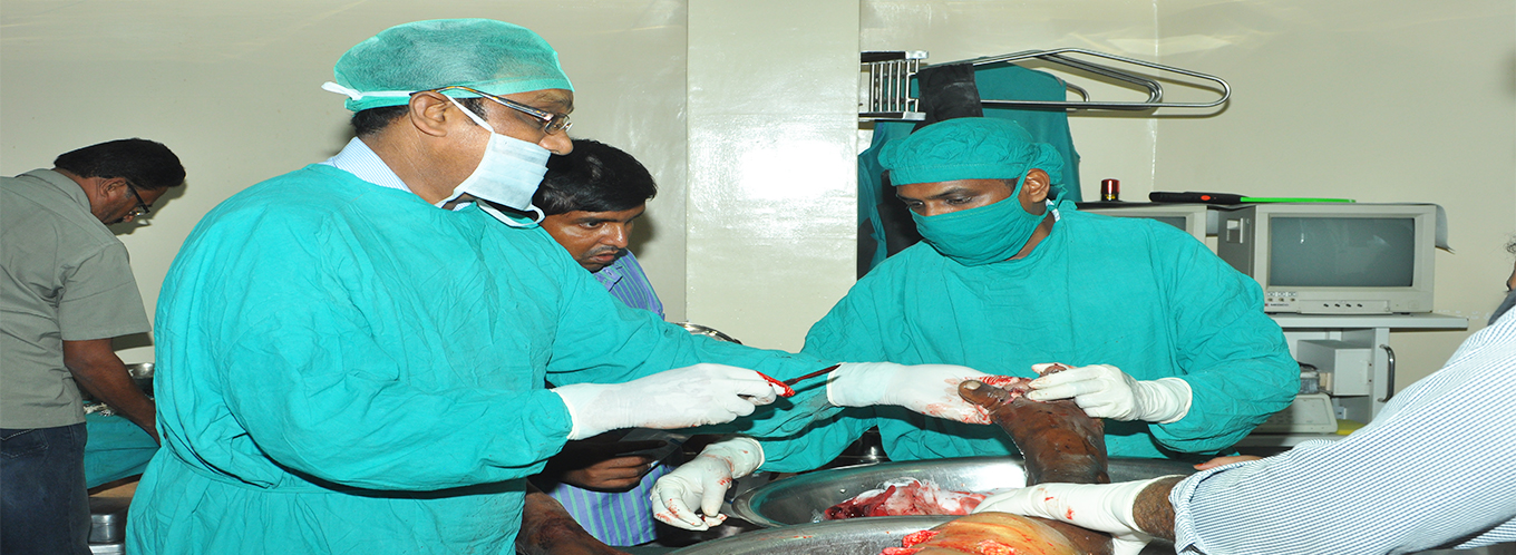 Amulya Nursing Home- best hospital in Andhra Pradesh
